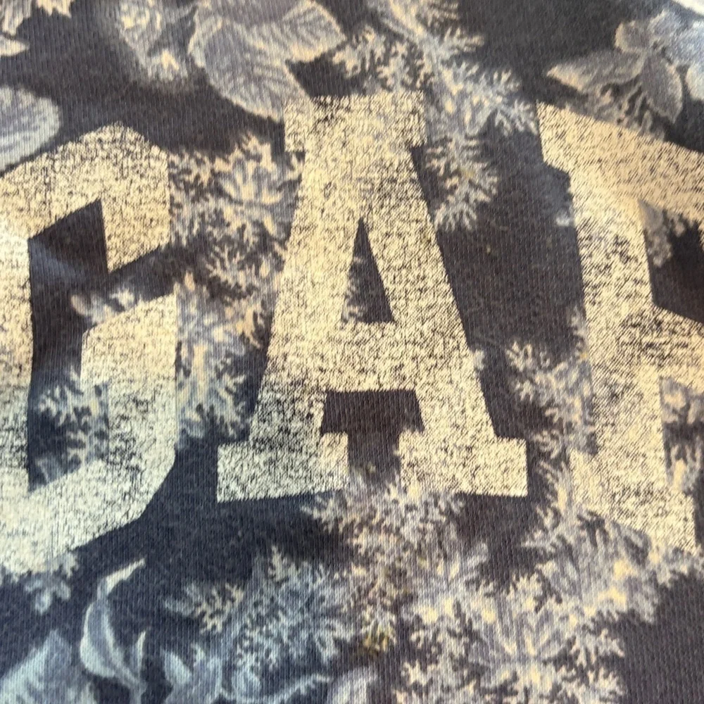 GAP x Love Shack Fancy colab hoodie size 2 T